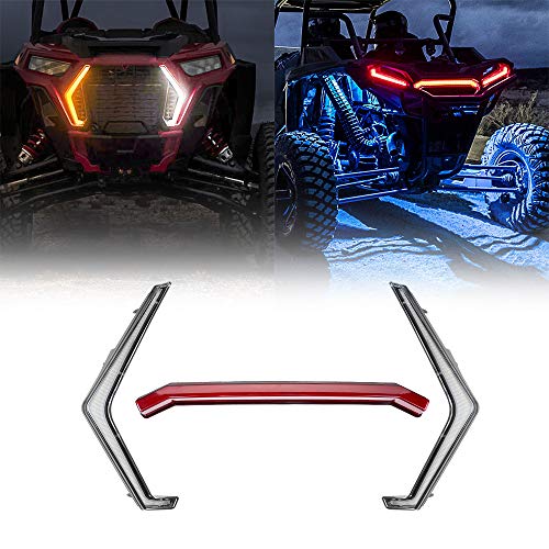 Fang Lights